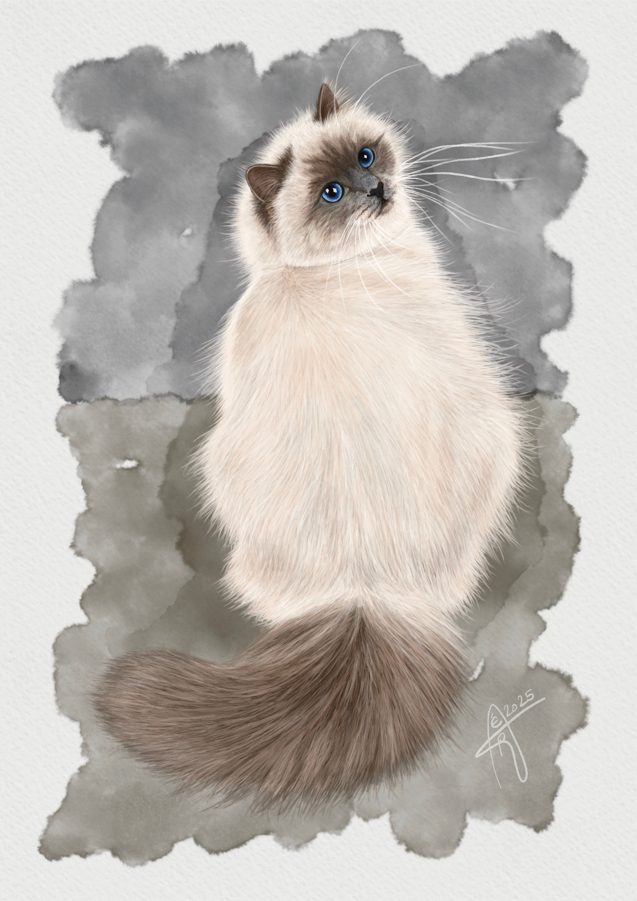 Postkarte Katze