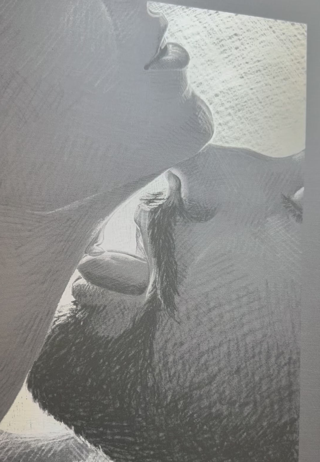 Kunstdruck Paar unter der Dusche auf Alu Dibond 40x60